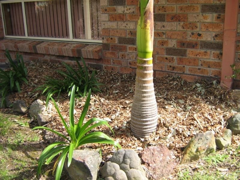 Ulladulla NSW 2539