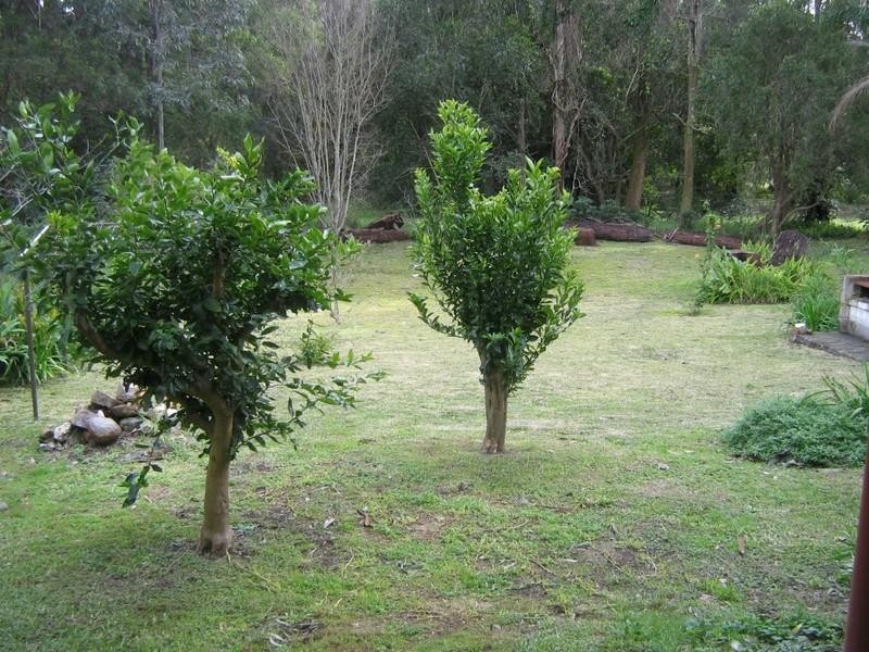 37 Buckland Street, Mollymook NSW 2539