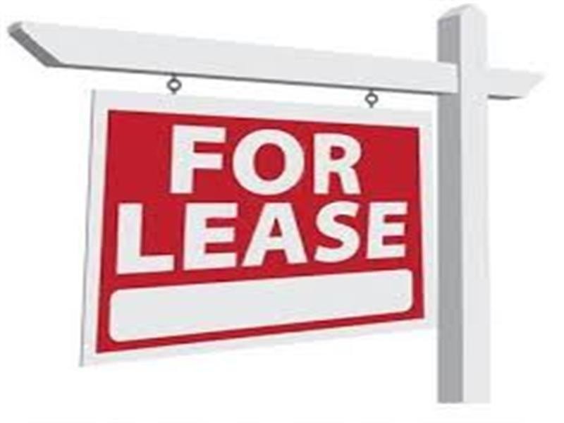 19A Moana Street, Woy Woy NSW 2256