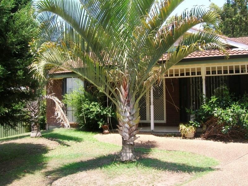 21 Casuarina Close, Umina Beach NSW 2257