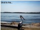 Woy Woy NSW 2256