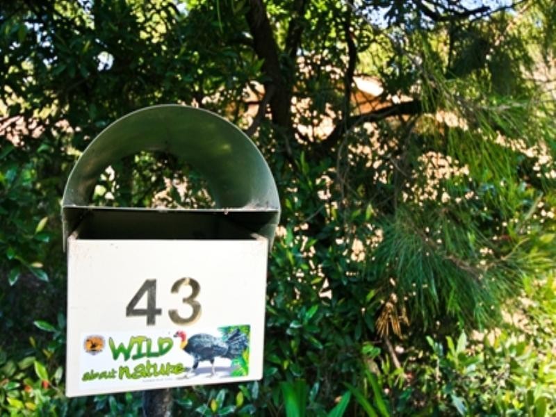 43 Castle Circuit, Umina Beach NSW 2257