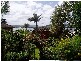 10 Cedar Crescent, Blackwall NSW 2256