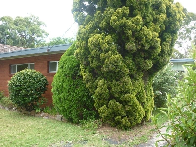 91 Ocean Beach Road, Woy Woy NSW 2256