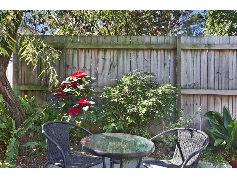 57 Wells Street, Newtown NSW 2042