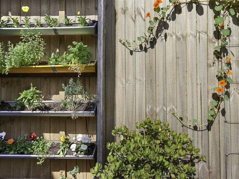 34 Edward Street, Darlington NSW 2008