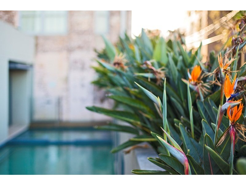 404/11-23 Gordon Street, Marrickville NSW 2204