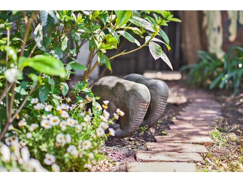 62 Macdonald Street, Erskineville NSW 2043