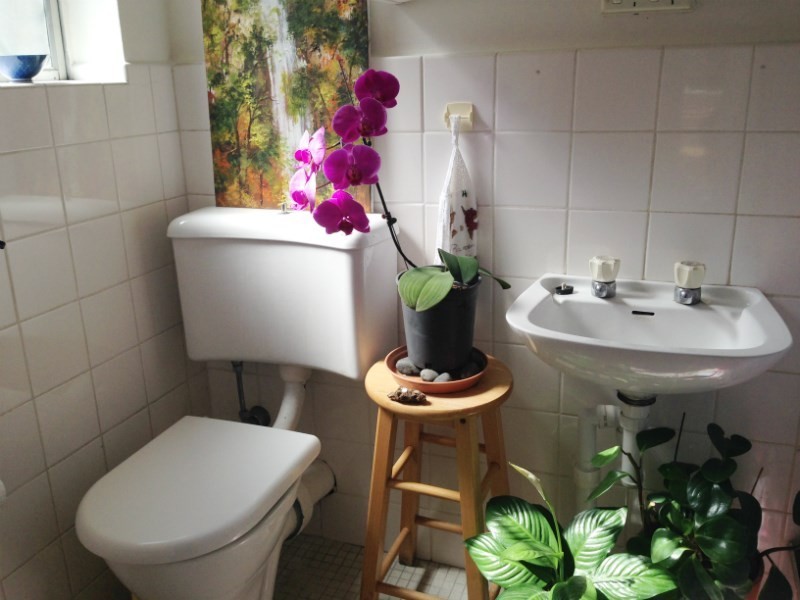 4/60 Arthur Street, Surry Hills NSW 2010