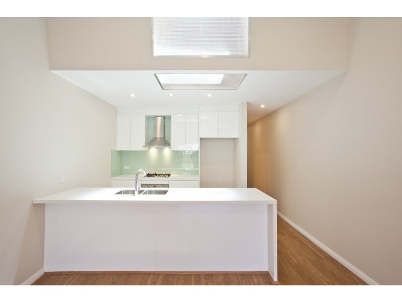 17 Burren Street, Erskineville NSW 2043