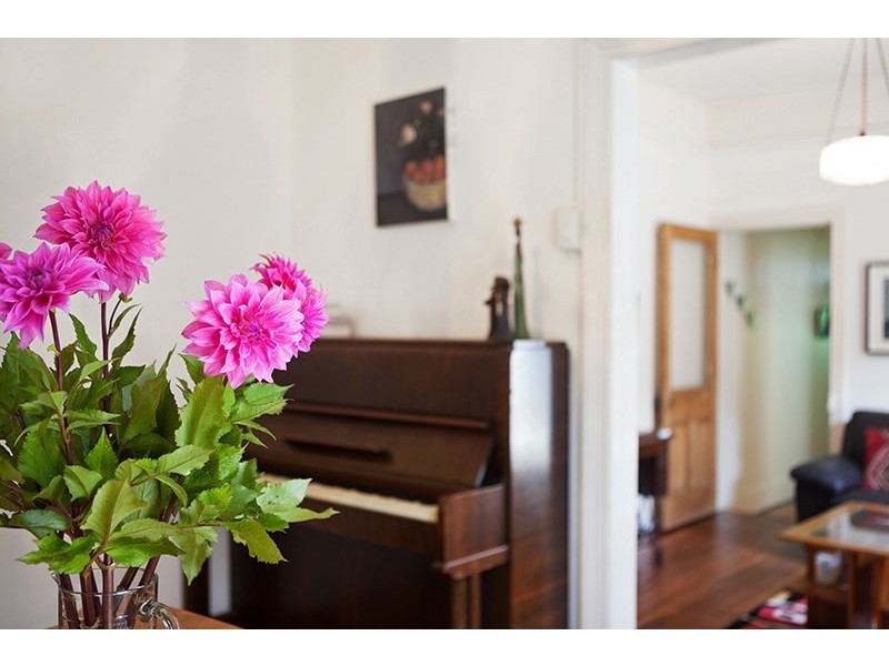 87 Bedford Street, Newtown NSW 2042