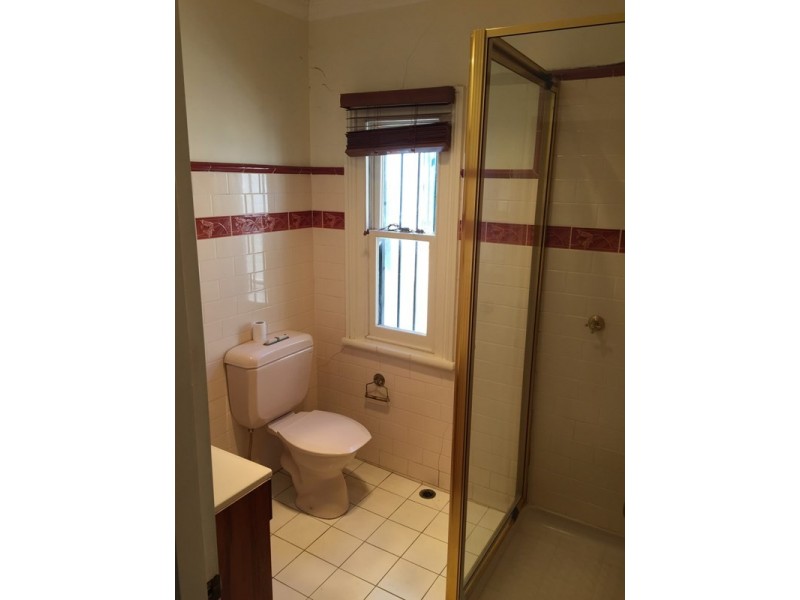 3 Binning Street, Erskineville NSW 2043