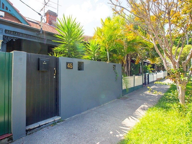 45 Goodsell Street, St Peters NSW 2044