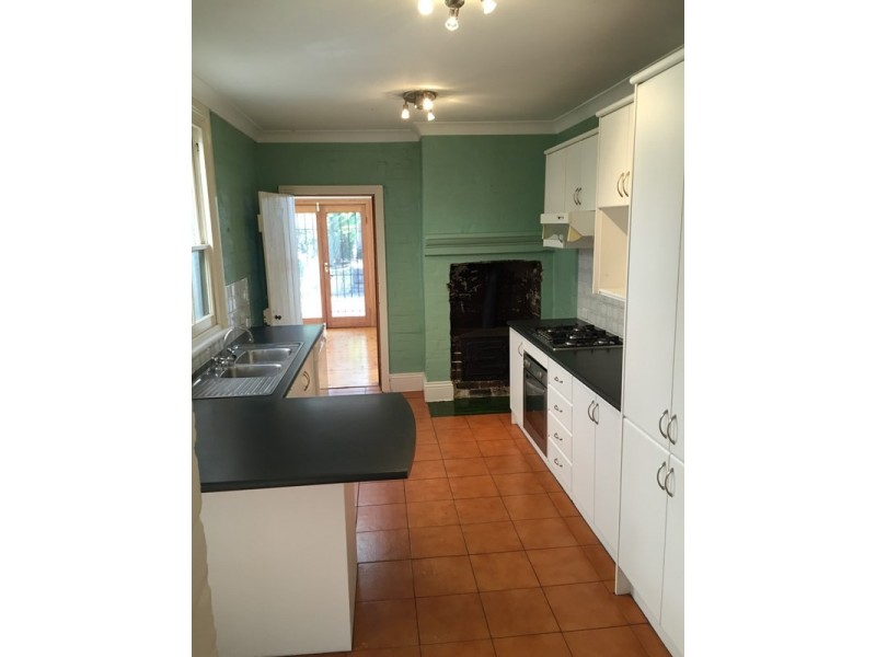 3 Binning Street, Erskineville NSW 2043