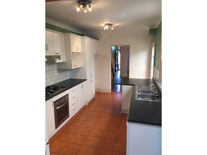 3 Binning Street, Erskineville NSW 2043