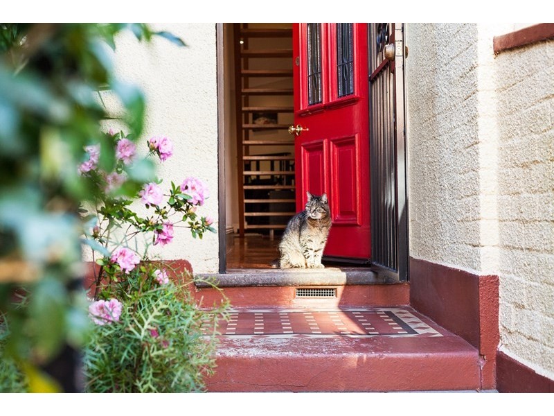 133 George Street, Erskineville NSW 2043