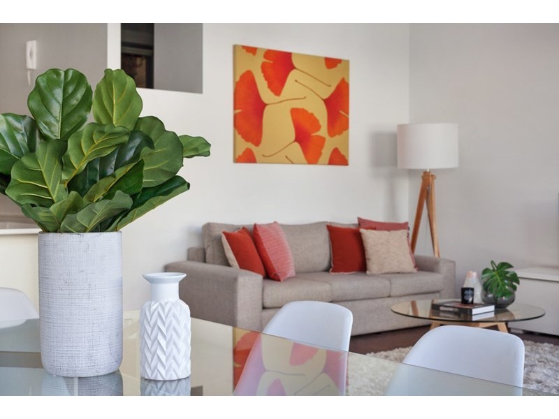 33/525 Illawarra Road, Marrickville NSW 2204