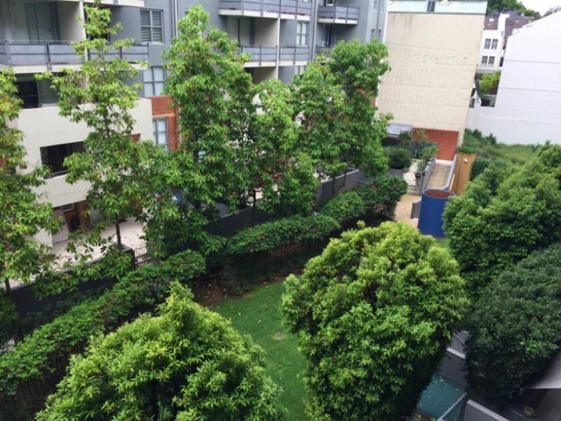 50/15-19 Boundary Street, Paddington NSW 2021