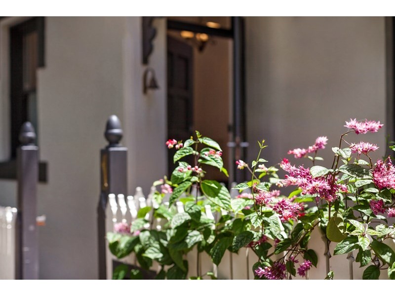 1 Holt Street, Newtown NSW 2042