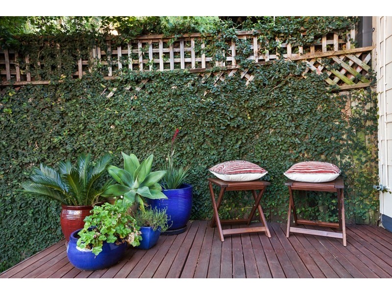 95 Wilson Street, Newtown NSW 2042