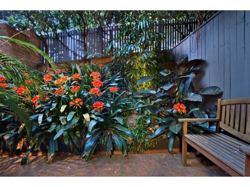 16 Kensington Street, Waterloo NSW 2017