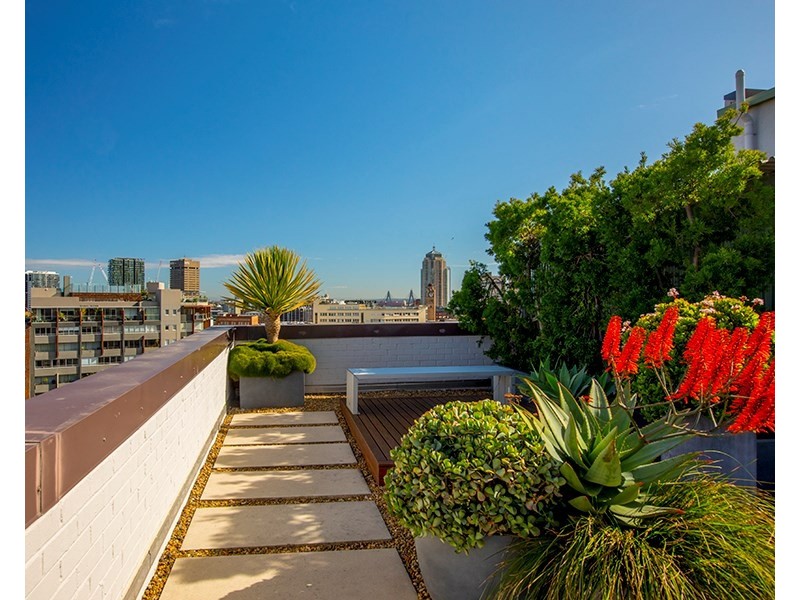 204/82-92 Cooper Street, Surry Hills NSW 2010