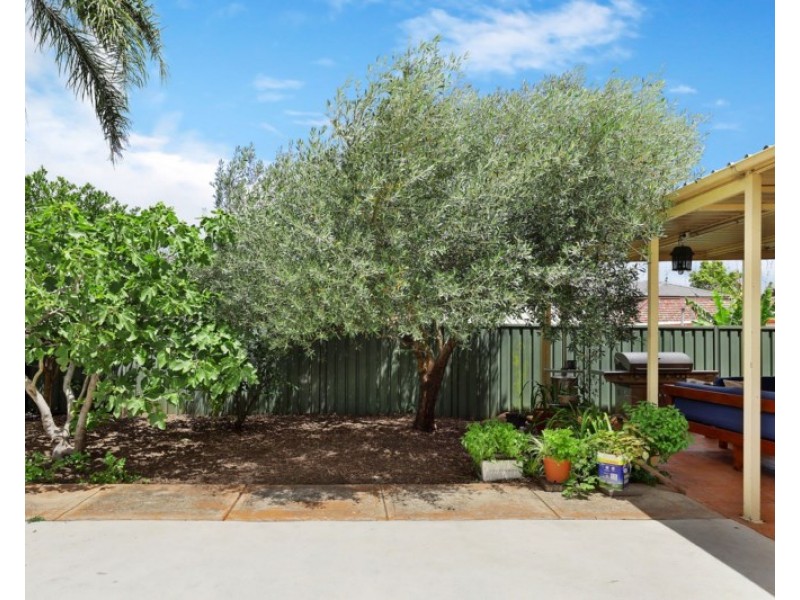 2 Windsor Avenue, Croydon Park NSW 2133