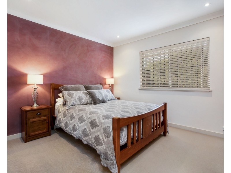 37 Bray Avenue, Earlwood NSW 2206