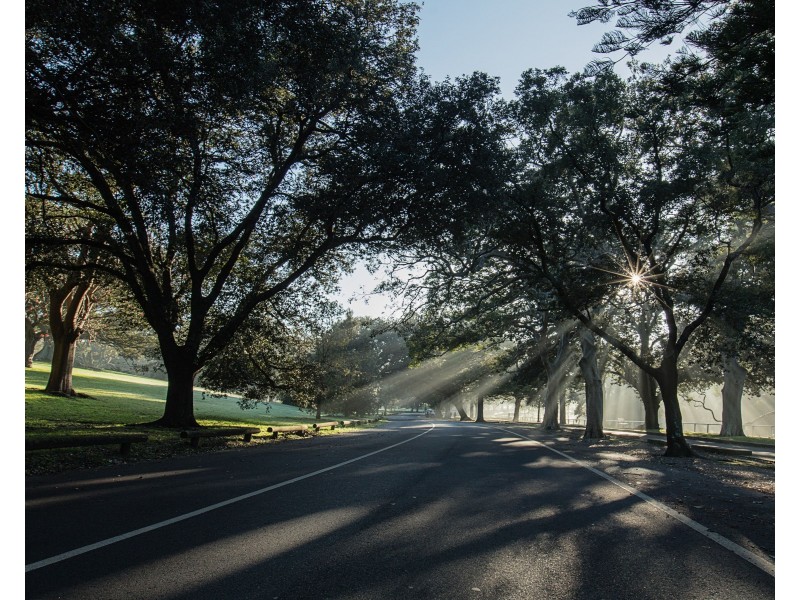 38/679 Bourke Street, Surry Hills NSW 2010