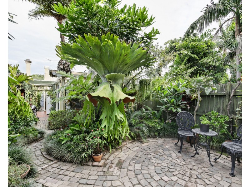 69 Darley Street, Newtown NSW 2042