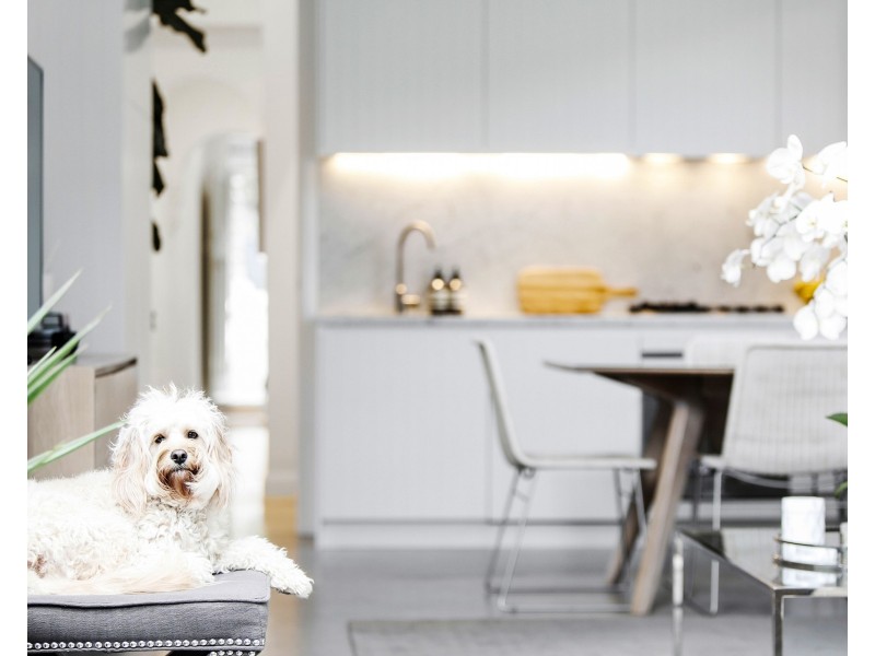 123 Victoria Street, Alexandria NSW 2015