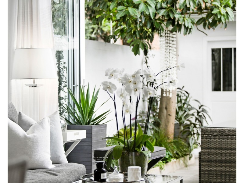 123 Victoria Street, Alexandria NSW 2015