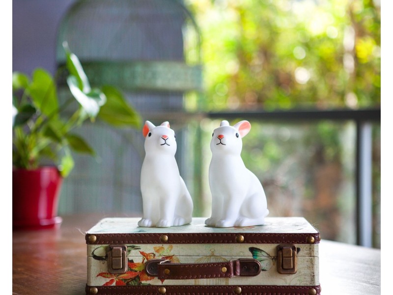 24/95 Euston Road, Alexandria NSW 2015