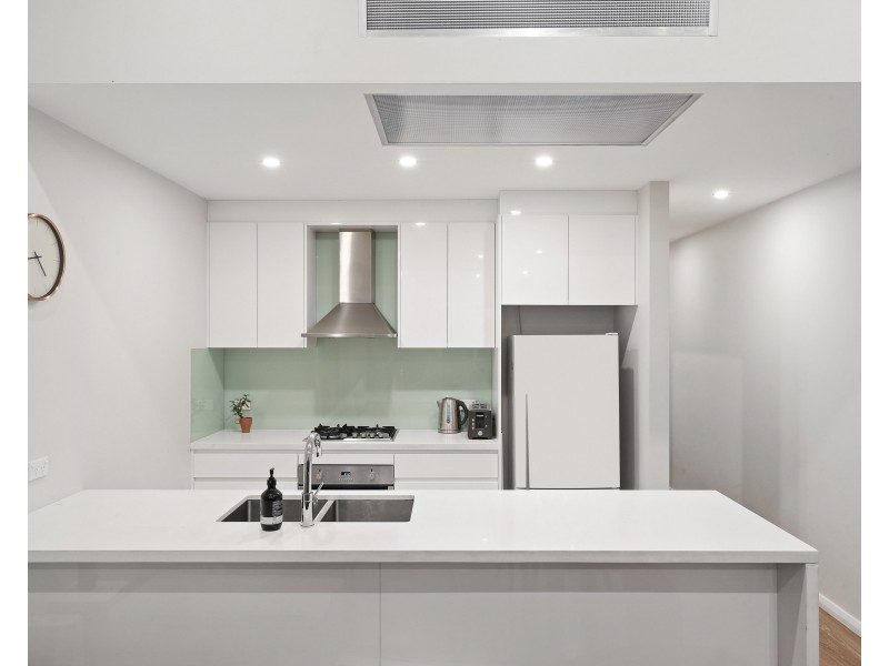 17 Burren Street, Erskineville NSW 2043