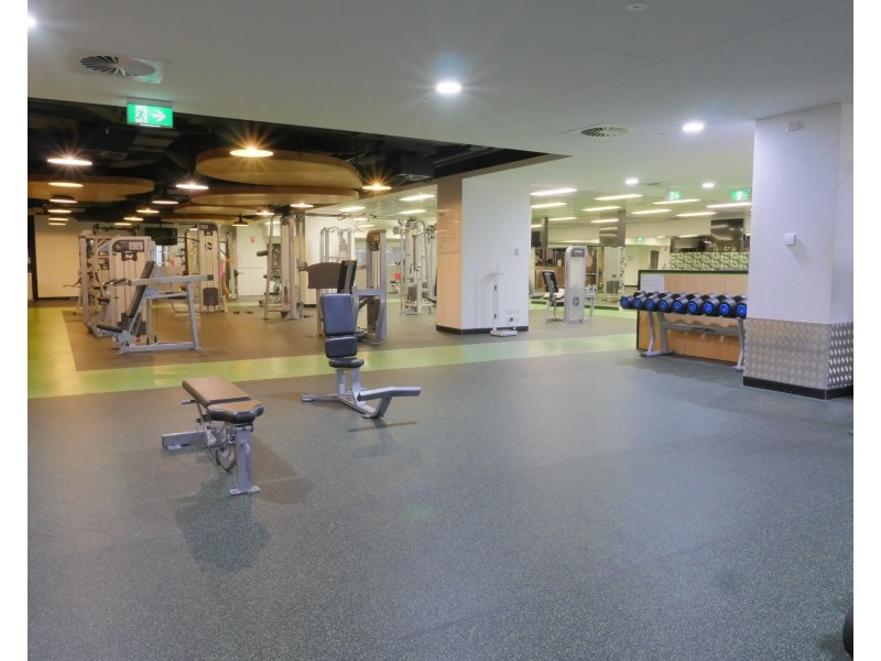 417/18 Park Lane, Chippendale NSW 2008