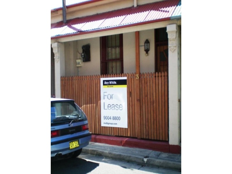 3 Morrissey Road, Erskineville NSW 2043