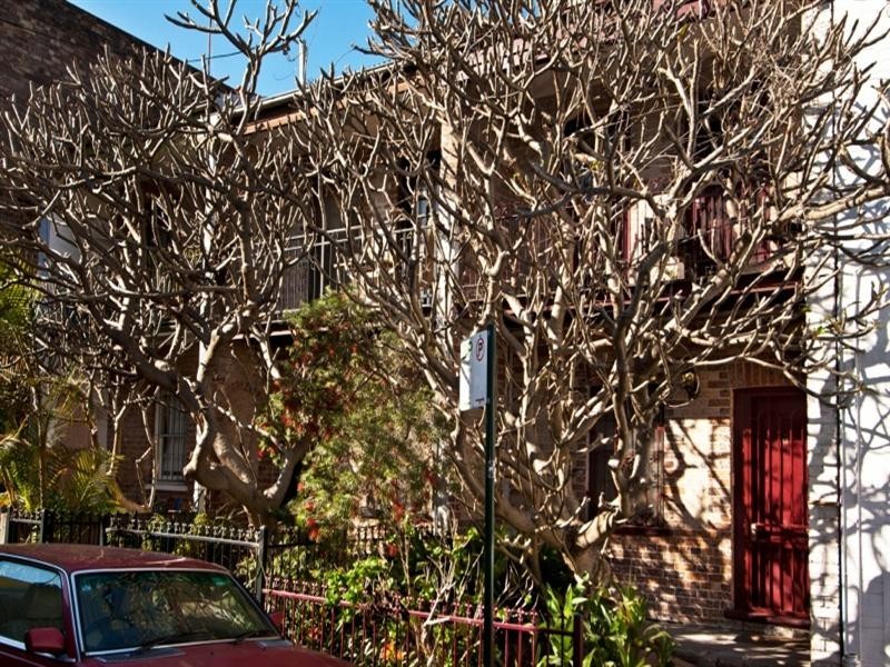 13 Wellington Street, Chippendale NSW 2008