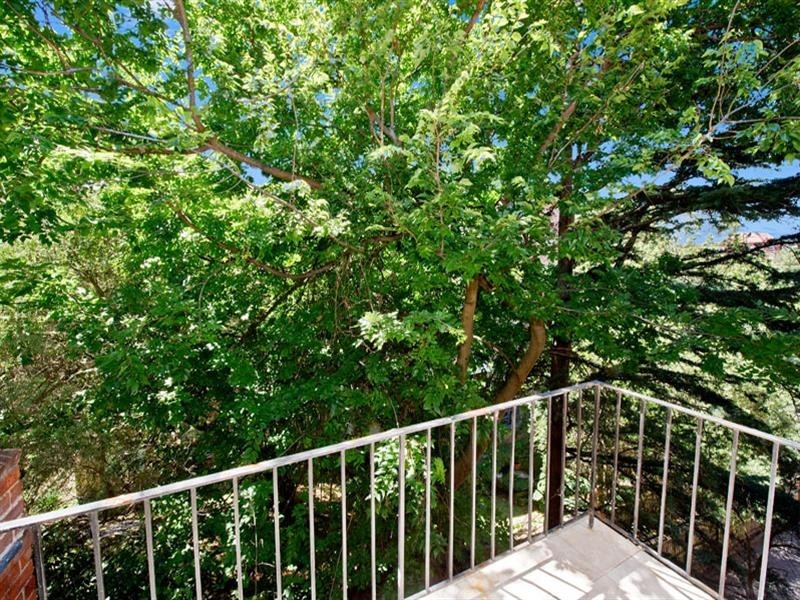 3A/7 Ocean Avenue, Double Bay NSW 2028