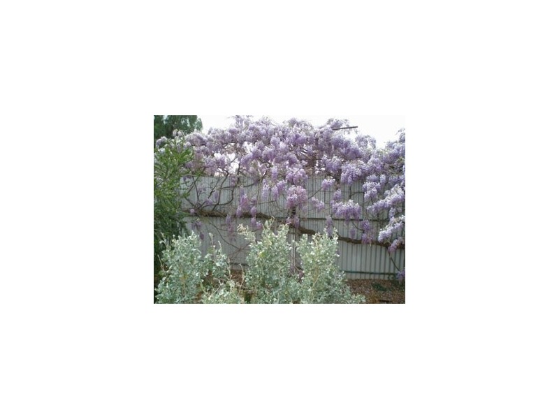 104 Wilson Street, Broken Hill NSW 2880