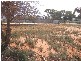 114 Clarke Street, Broken Hill NSW 2880