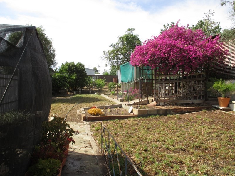 231 Williams Lane, Broken Hill NSW 2880