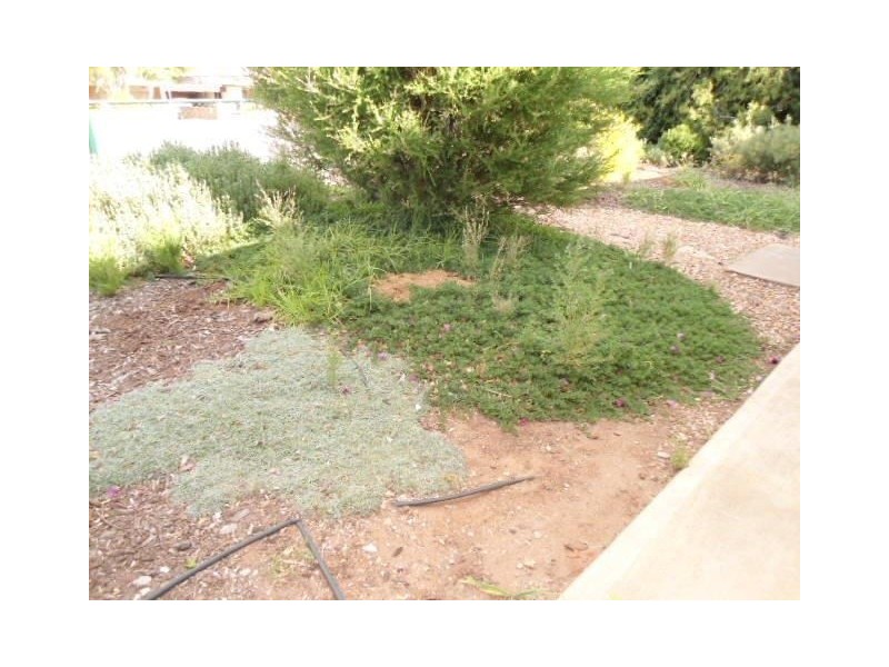 28 Wright Street, Broken Hill NSW 2880