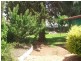 500 Lane Lane, Broken Hill NSW 2880