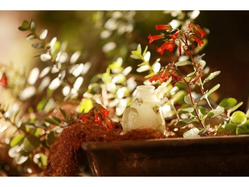 100-118 Argent Street, Broken Hill NSW 2880