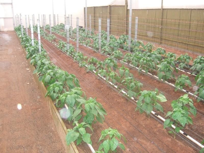 175 Cummins Lane, Broken Hill NSW 2880