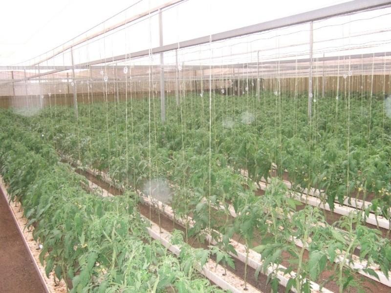 175 Cummins Lane, Broken Hill NSW 2880