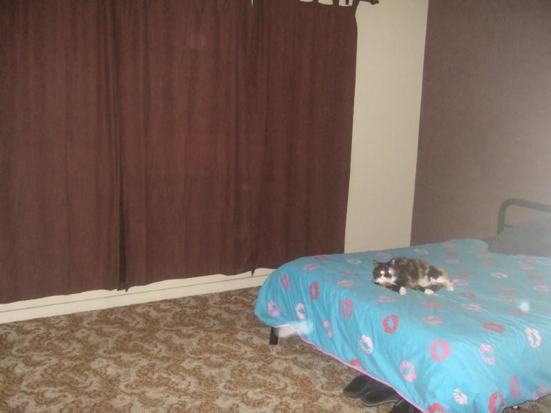 673 Williams Street, Broken Hill NSW 2880