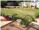 719 Beryl Street, Broken Hill NSW 2880