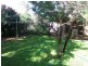 240 Mcculloch Street, Broken Hill NSW 2880