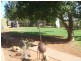 Lot 1 Wilcannia Road, Broken Hill NSW 2880